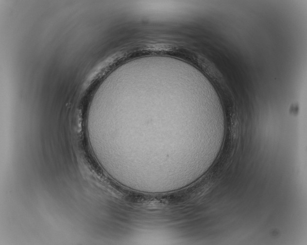 X0000113180731200909251441