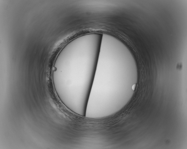 X0000113180732200909251441