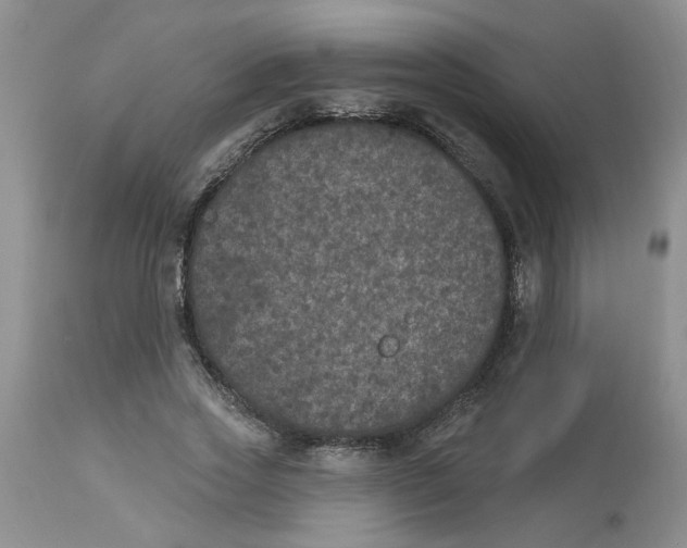X0000113180733200909251441