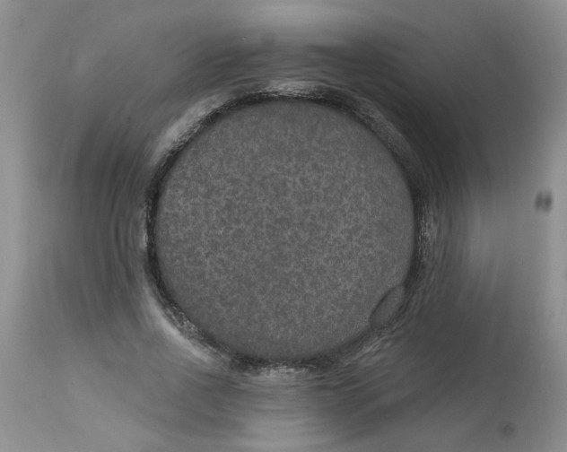 X0000113180734200909251441