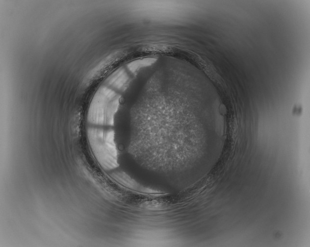 X0000113180735200909251441