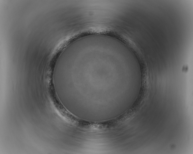 X0000113180736200909251441