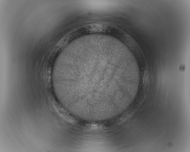X0000113180737200909251441