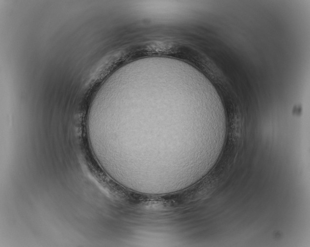 X0000113180738200909251441