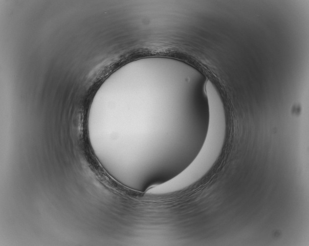 X0000113180740200909251441