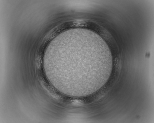 X0000113180741200909251441