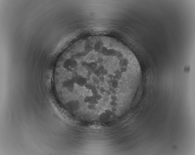 X0000113180742200909251441
