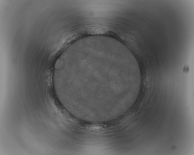 X0000113180743200909251441