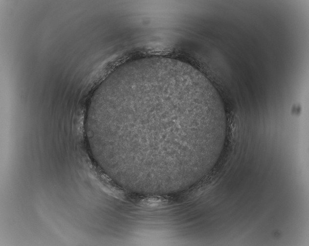 X0000113180745200909251441