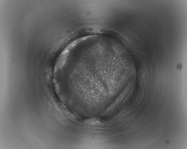 X0000113180747200909251441