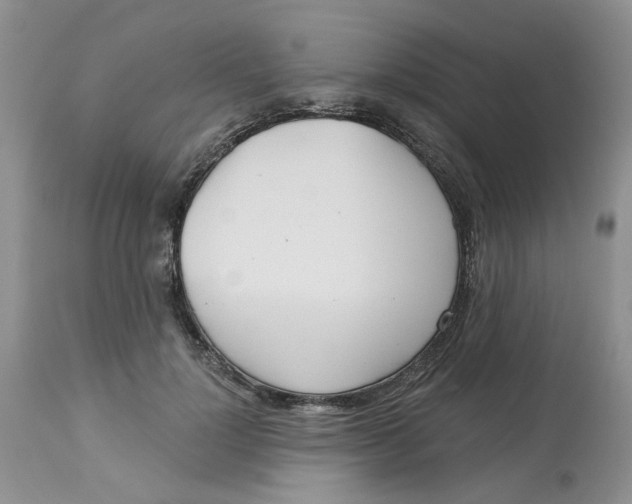 X0000113180748200909251441