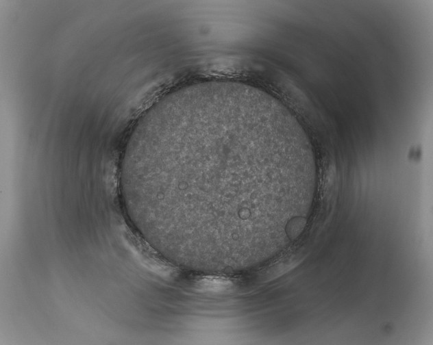 X0000113180749200909251441