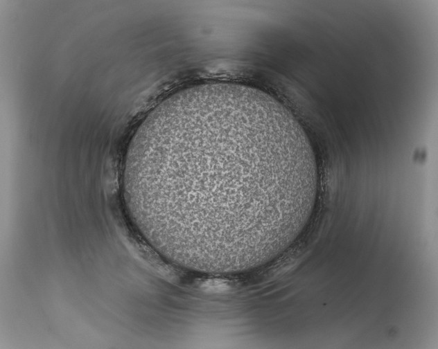 X0000113180751200909251441