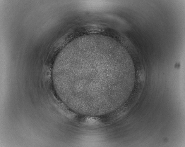 X0000113180753200909251441