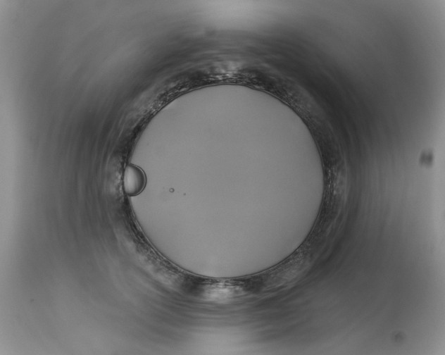 X0000113180754200909251441