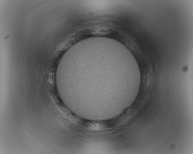 X0000113180755200909251441