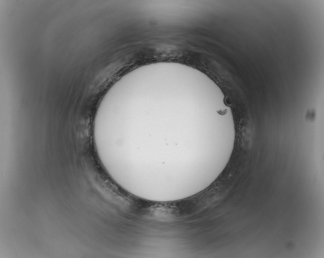 X0000113180756200909251441