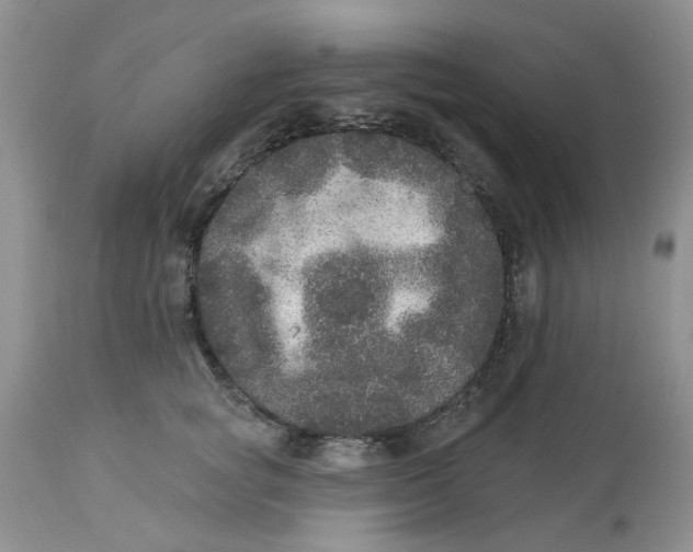 X0000113180757200909251441