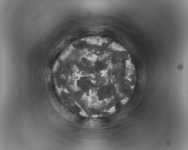 X0000113180758200909251441