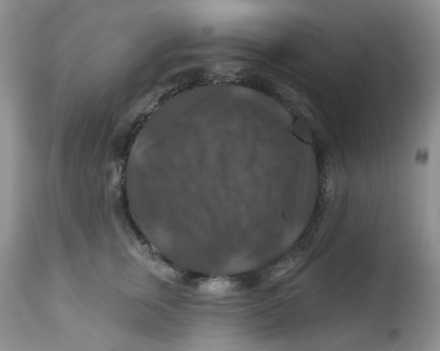 X0000113180759200909251441