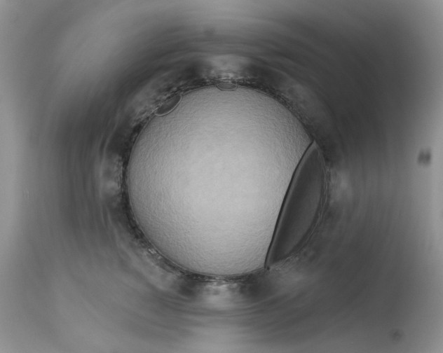 X0000113180760200909251441