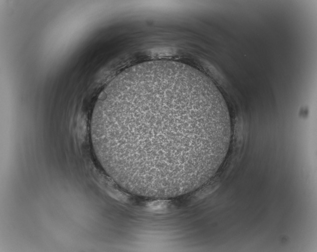 X0000113180761200909251441