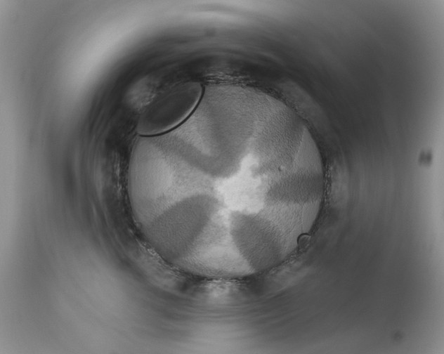 X0000113180762200909251441