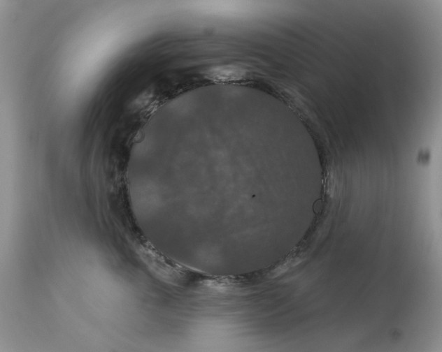 X0000113180763200909251441