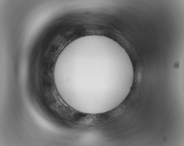 X0000113180764200909251441