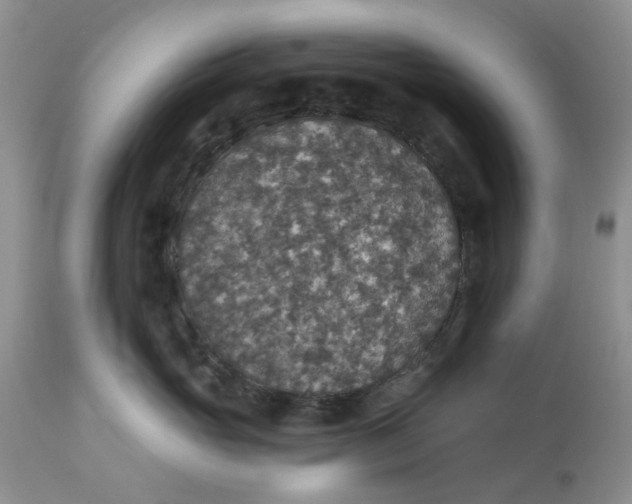 X0000113180765200909251441