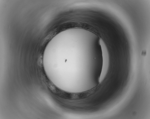 X0000113180766200909251441