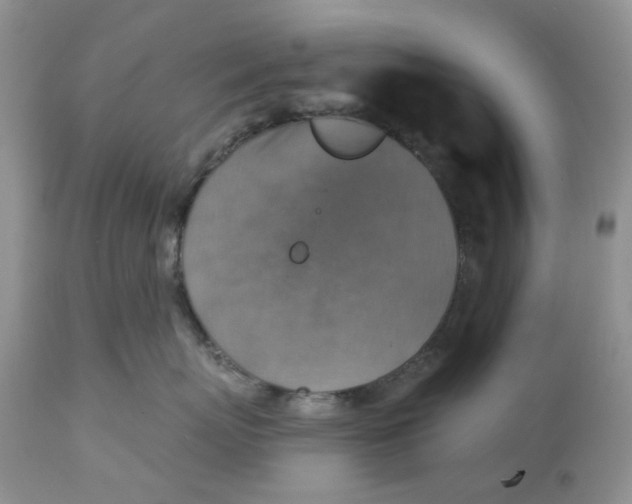 X0000113180767200909251441