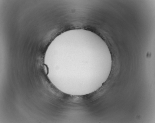 X0000113180768200909251441