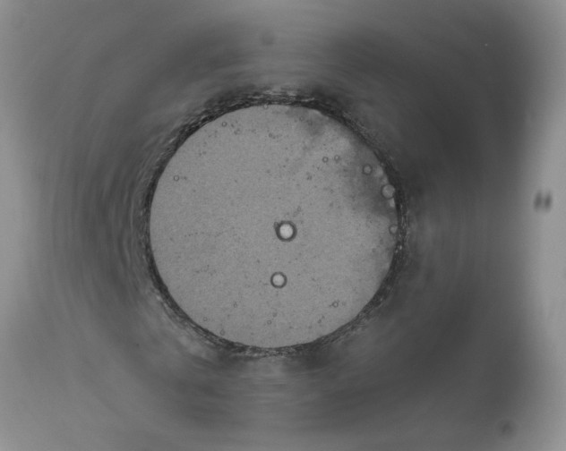 X0000113180769200909251441