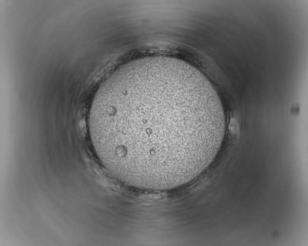 X0000113180771200909251441