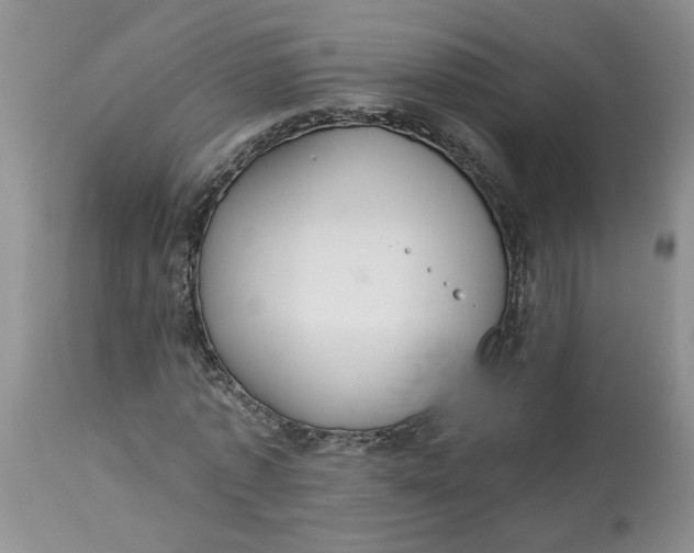 X0000113180773200909251441