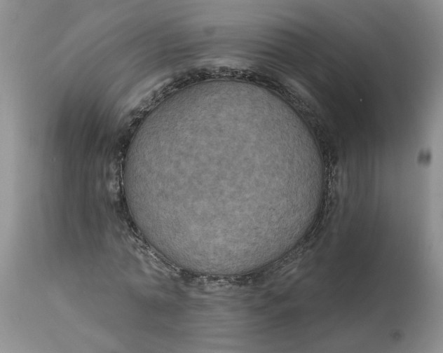 X0000113180774200909251441