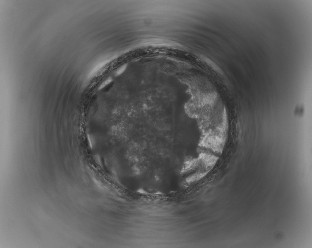 X0000113180775200909251441