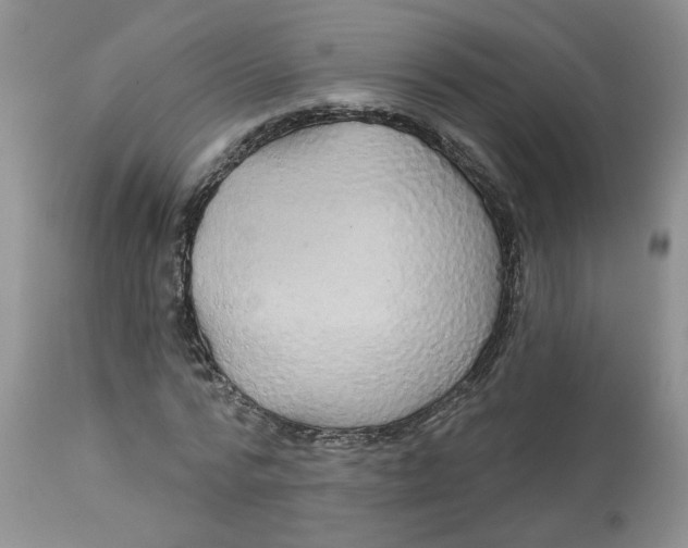 X0000113180776200909251440