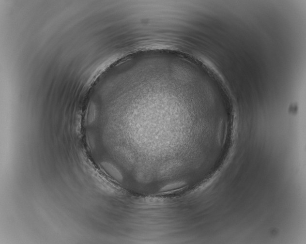 X0000113180777200909251440