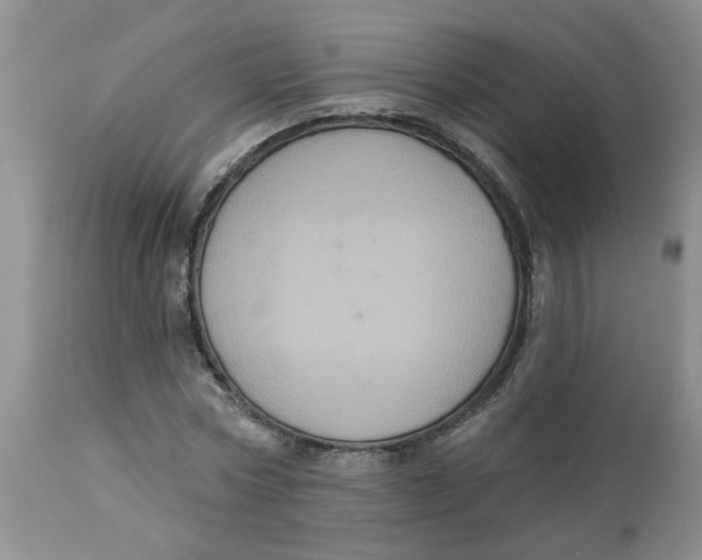 X0000113180778200909251440