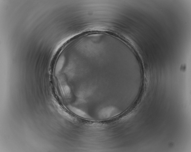 X0000113180779200909251440