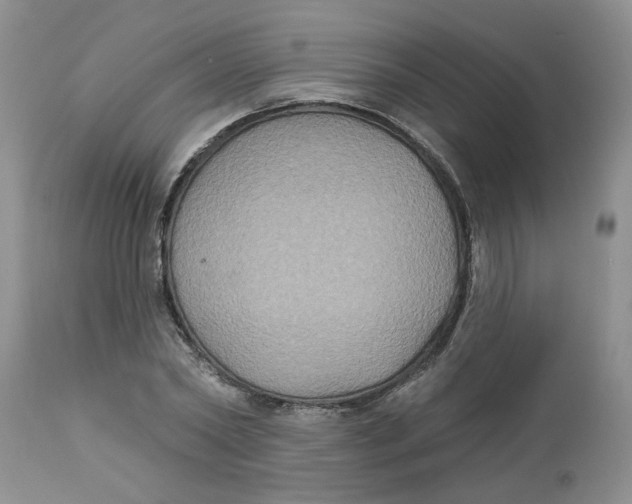 X0000113180782200909251440