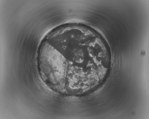 X0000113180783200909251440