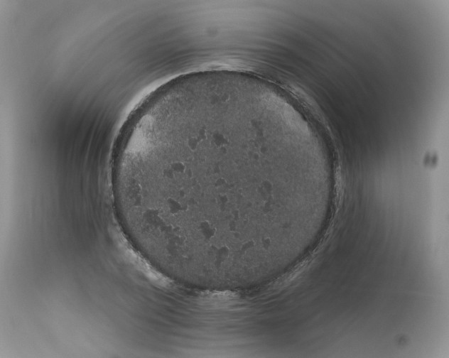 X0000113180784200909251440