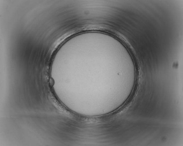 X0000113180786200909251440