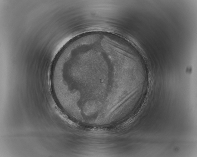 X0000113180788200909251440
