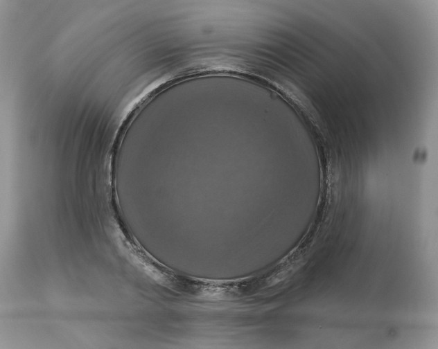 X0000113180790200909251440