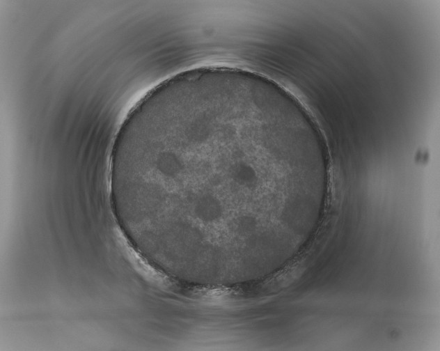 X0000113180791200909251440