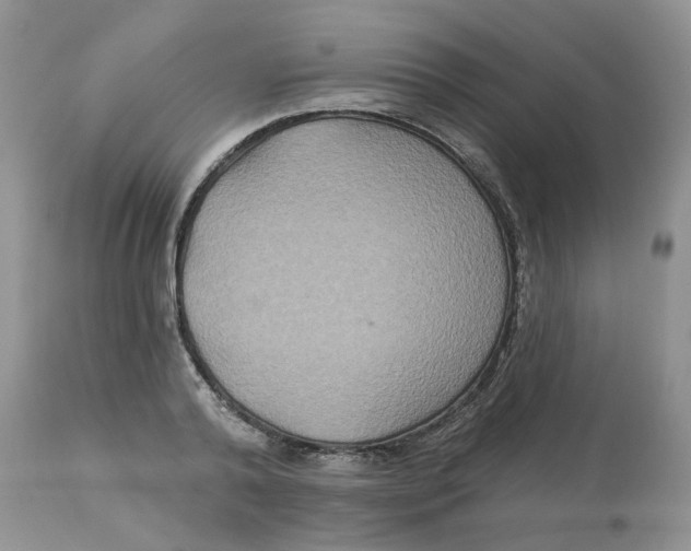 X0000113180792200909251440